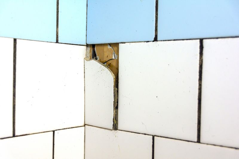Loose Tile Repair