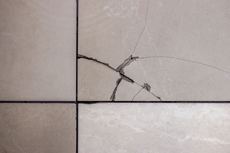Tile Repair Specialist